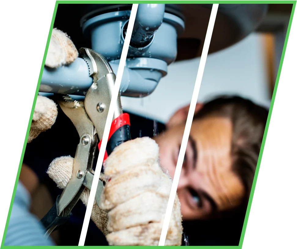 Alles aus einer Hand Reinigung, Pflege & Wartung